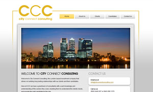 City Connect Consultancy